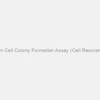 StemTAG Stem Cell Colony Formation Assay (Cell Recovery Compatible)